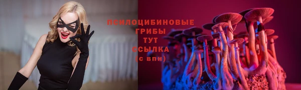 мдма Богданович
