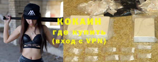 хмурый Пересвет