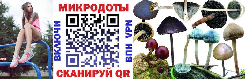 Галлюциногенные грибы мицелий  наркота  mega зеркало  Кимовск 