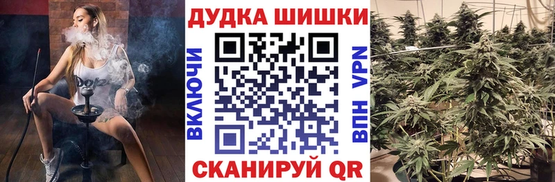 Шишки марихуана план  нарко площадка телеграм  Кимовск 